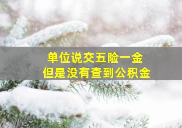 单位说交五险一金 但是没有查到公积金